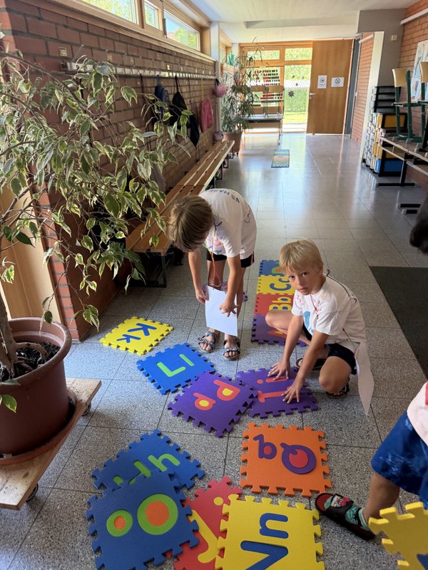 image-2294